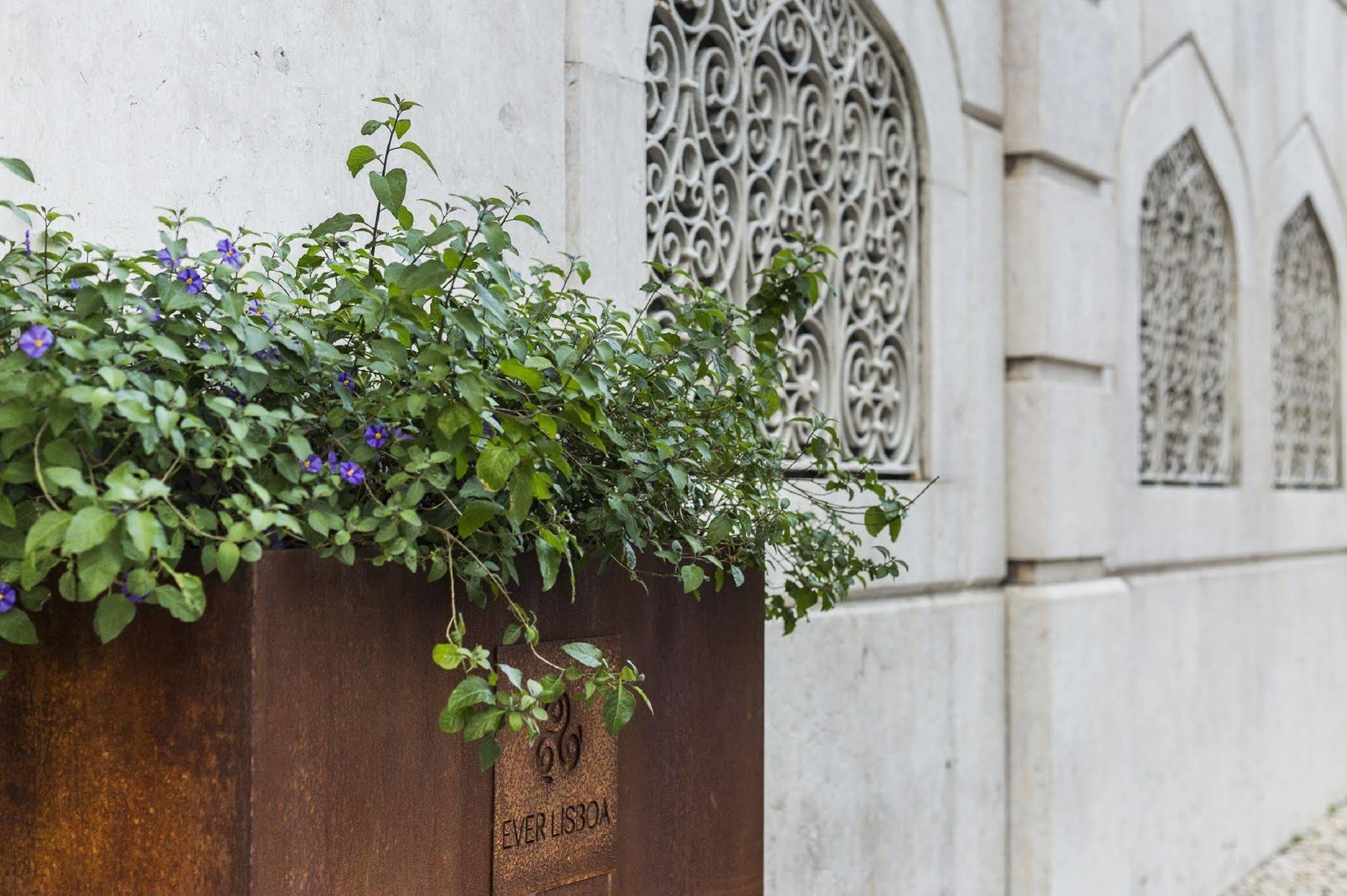Ever Lisboa City Center Hotel Экстерьер фото